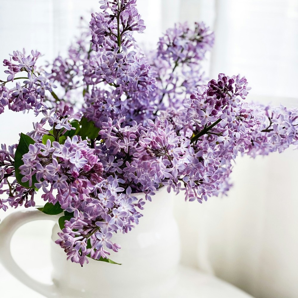 Meet your Posher, Lilac